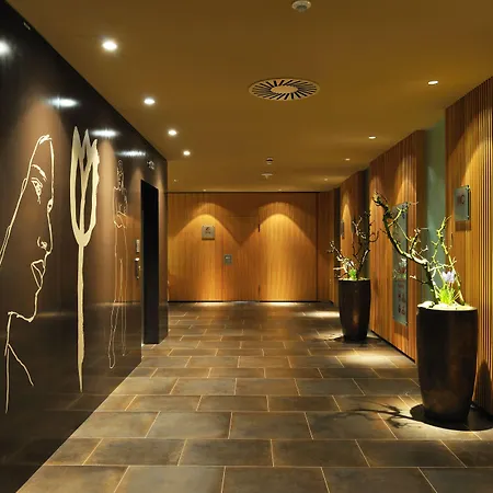 Balnea Superior - Terme Krka Hotel Dolenjske Toplice